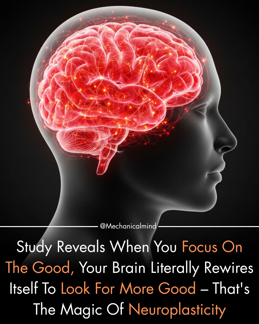 Neuroscientists have confirmed one of the most uplifting discoveries in mental health